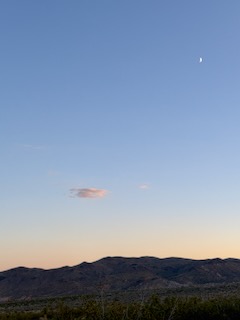 Joshua Tree National Park