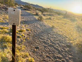 Joshua Tree National Park