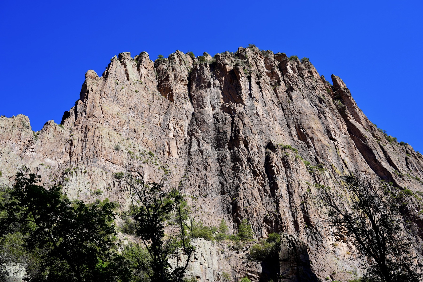 Gila Wilderness - Middle Fork of the Gila River Canyon.