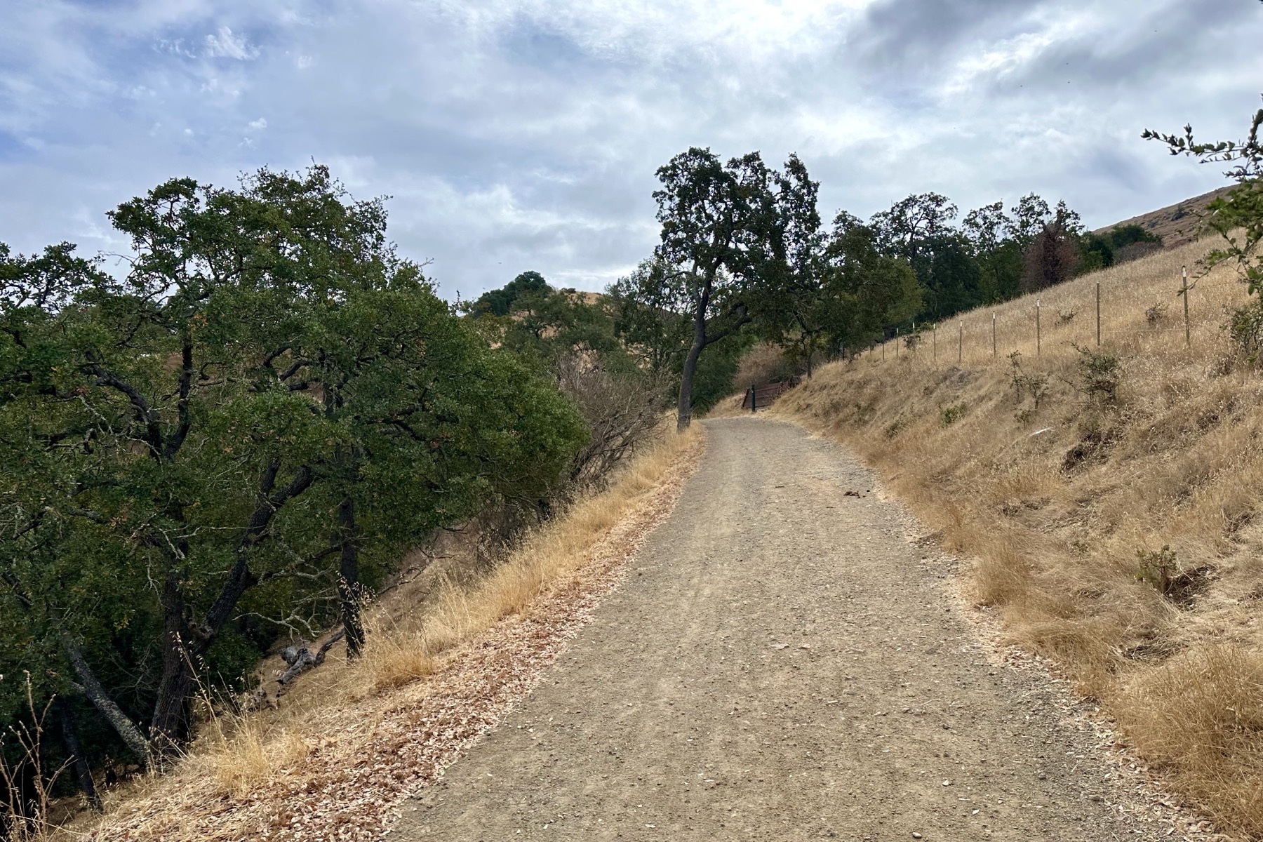 A gravel road is before us, leading away into a dry grass hills with valley live oaks. There are layers of stratocumulus clouds and some thin bits of blue sky poking through.