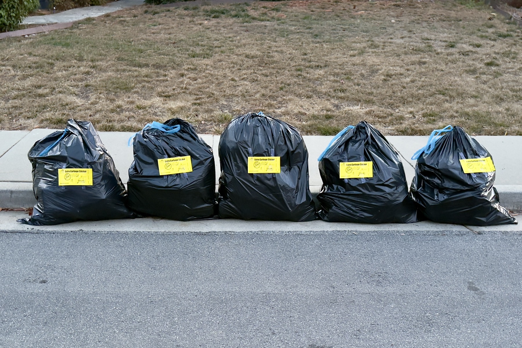 Five garbage bags on the curb.