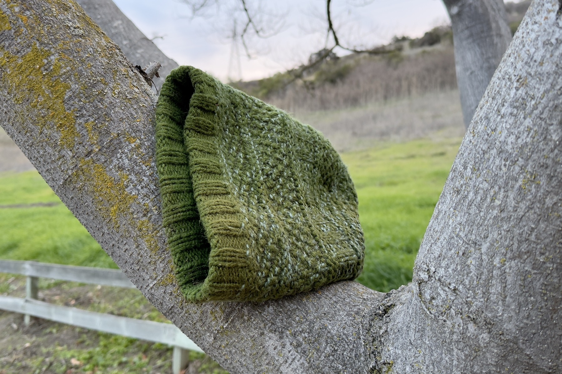 A green knitted cap in a tree.