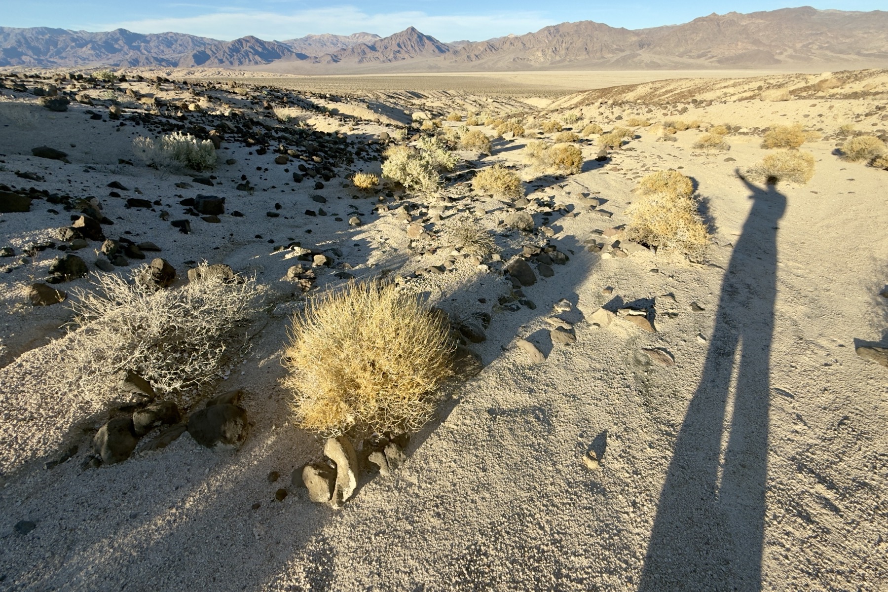 A long shadow of a person stretches across sandy desert terrain in Death Valley. The foreground shows scattered rocks and desert shrubs with golden brush. A dry wash cuts through the landscape, leading toward distant mountains under a clear blue sky.